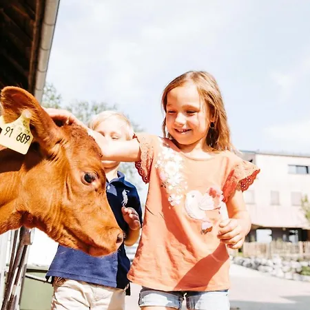 Liselotte * 诺伊基希