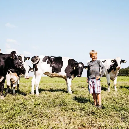 Liselotte Neukirch (Tubingen)