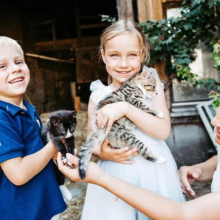 Daire Liselotte Neukirch (Tubingen)