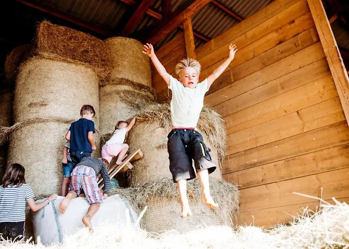 Liselotte Apartmán Neukirch (Tubingen)